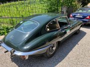 Le Jaguar nella zona del Prosecco e Cartize (3/152)